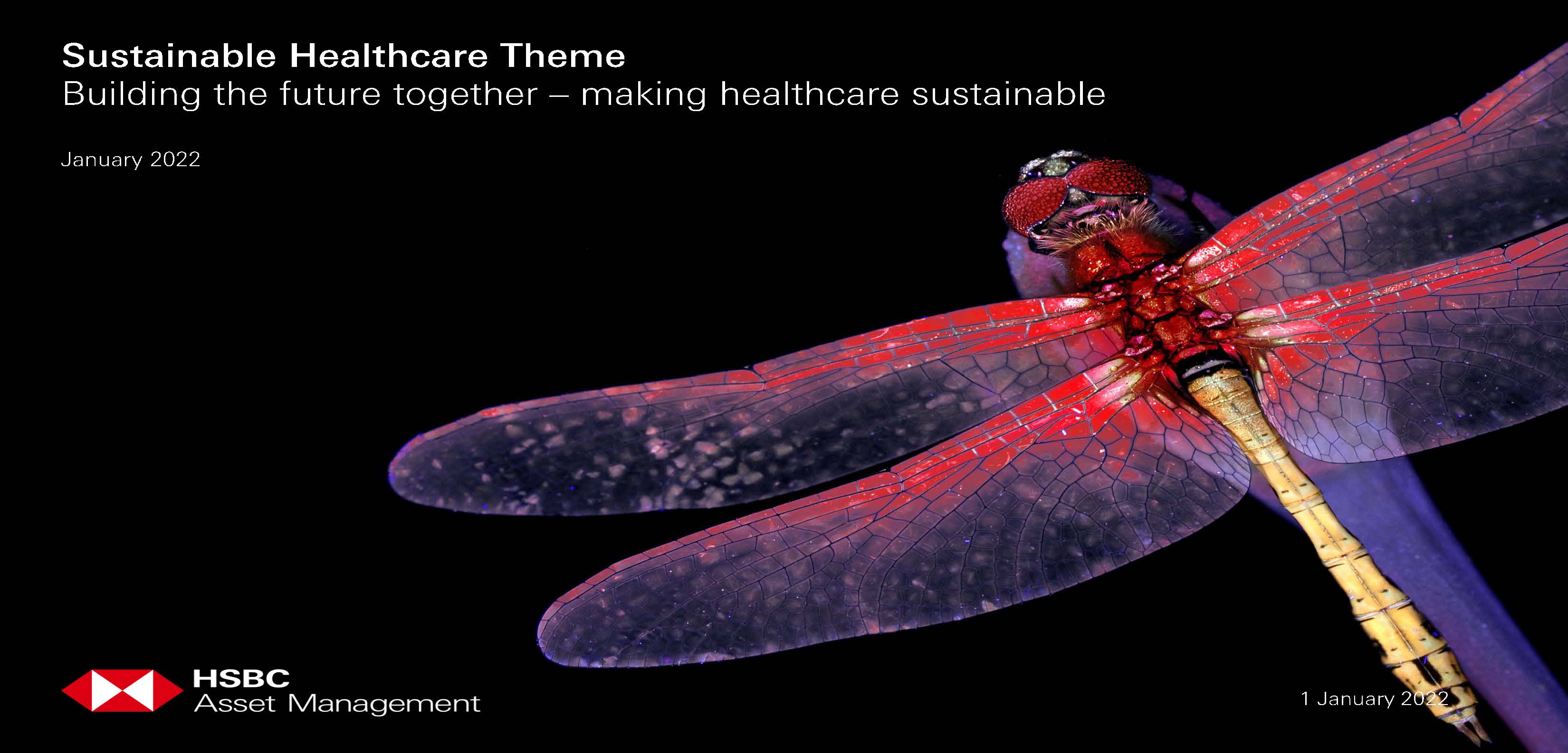 Sustainable healthcare theme - Dr. Nathalie Flury and Dr Michael Schroter