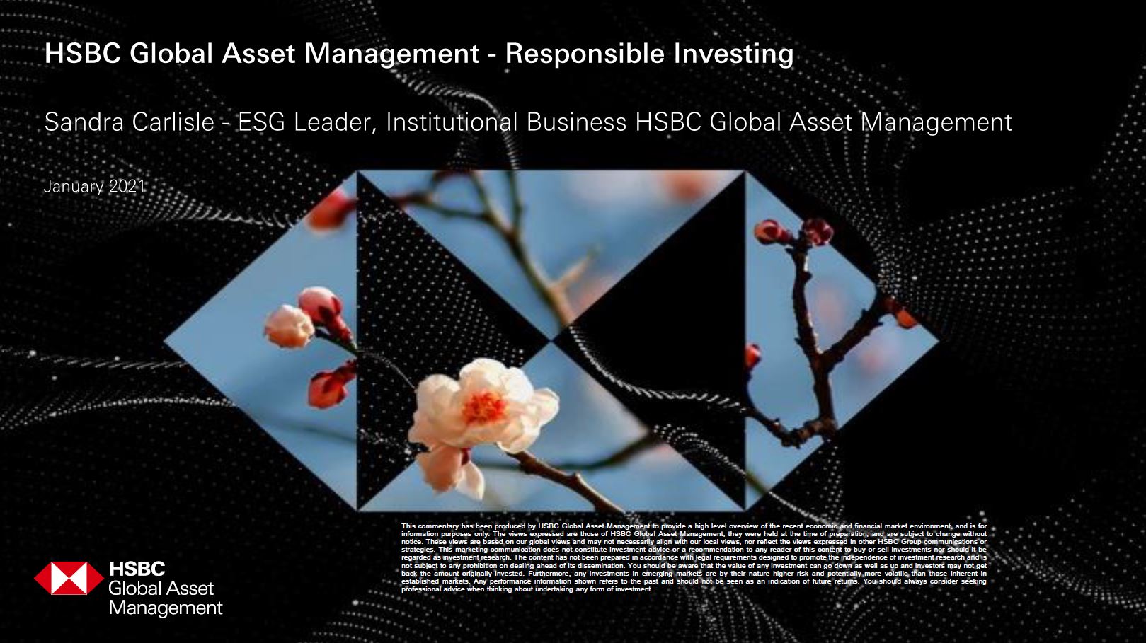 Responsible Investing - Sandra Carlisle