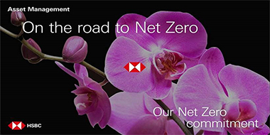 net-zero-commitment