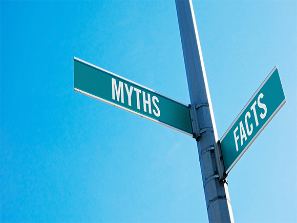 Decoding myths and facts about investing  HSBC Asset Management India