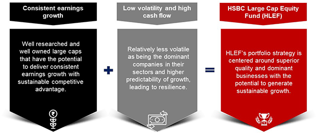 HSBC Large Cap Equity Fund
