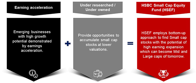 HSBC Small Cap Equity Fund