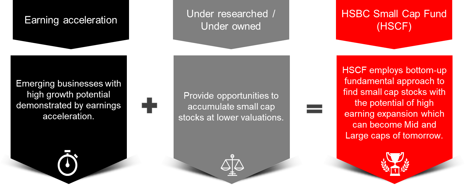 Small Cap Fund - An open ended equity scheme predominantly investing in small cap stocks