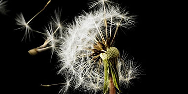 PwC Limited Assurance Report – Previously Reported 2019 metrics